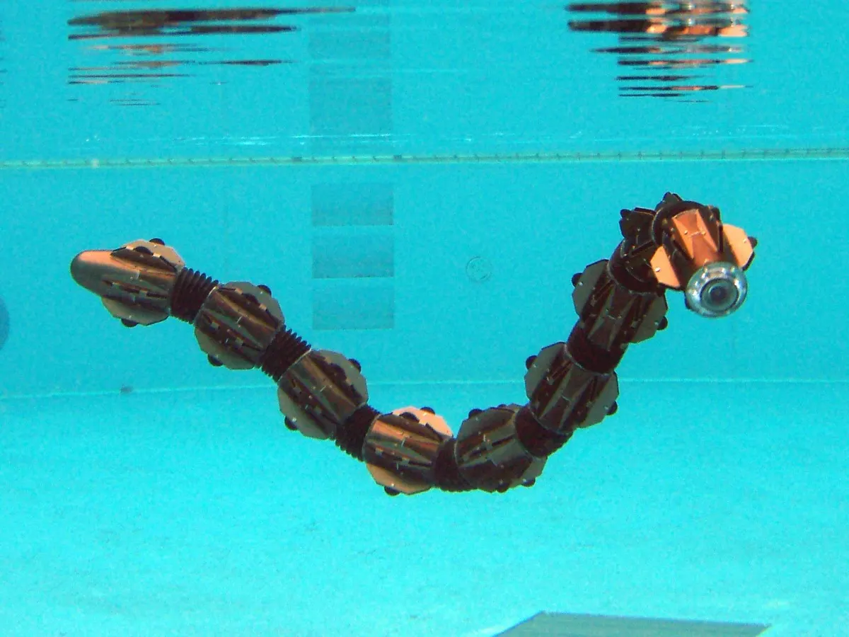 Tokyo Institute of Technology (Hirose lab) / HiBot (Japan) ACM-R5H Amphibious Snake (2)