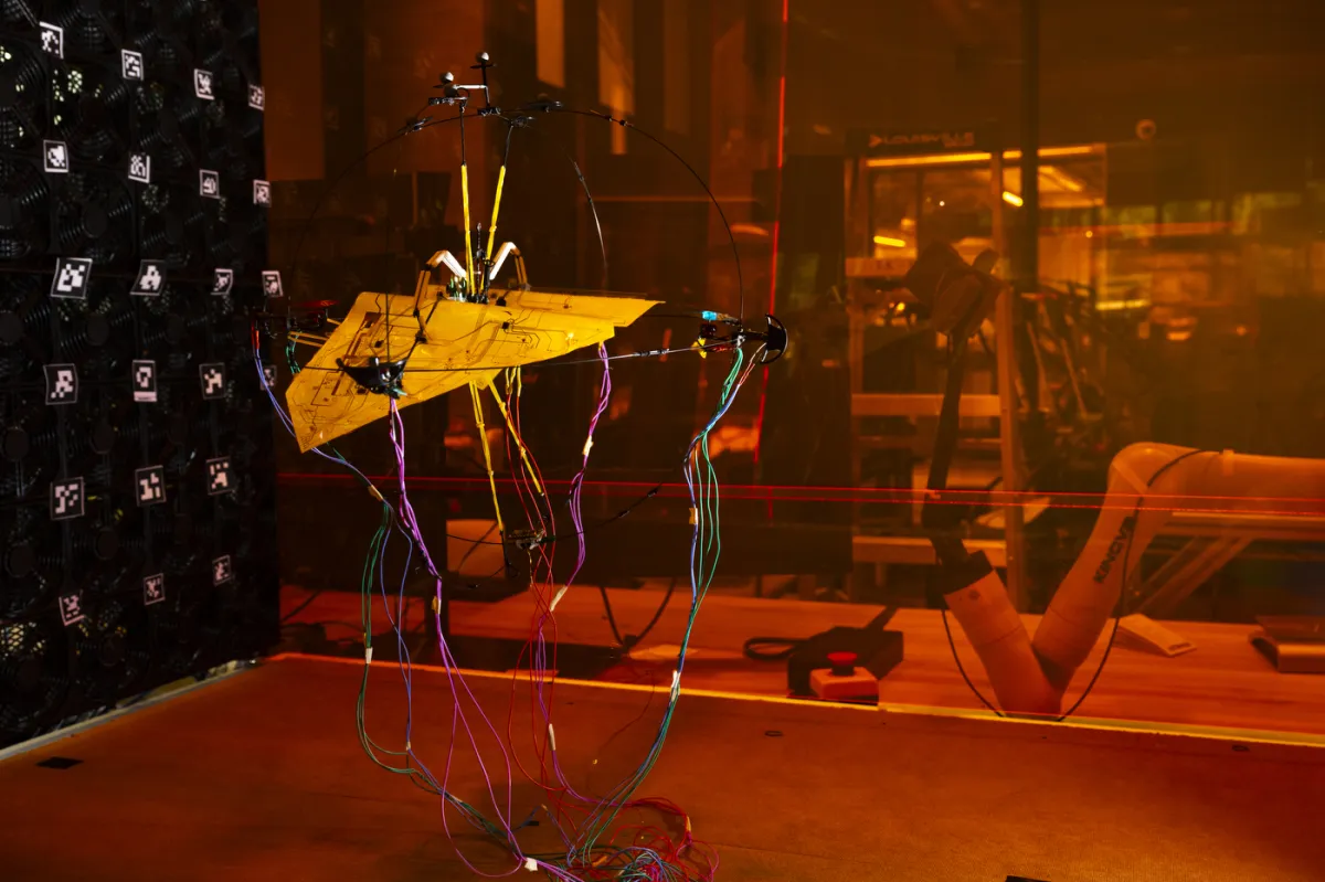 Northeastern University SiliconSynapse Lab (USA) Aerobat (1)