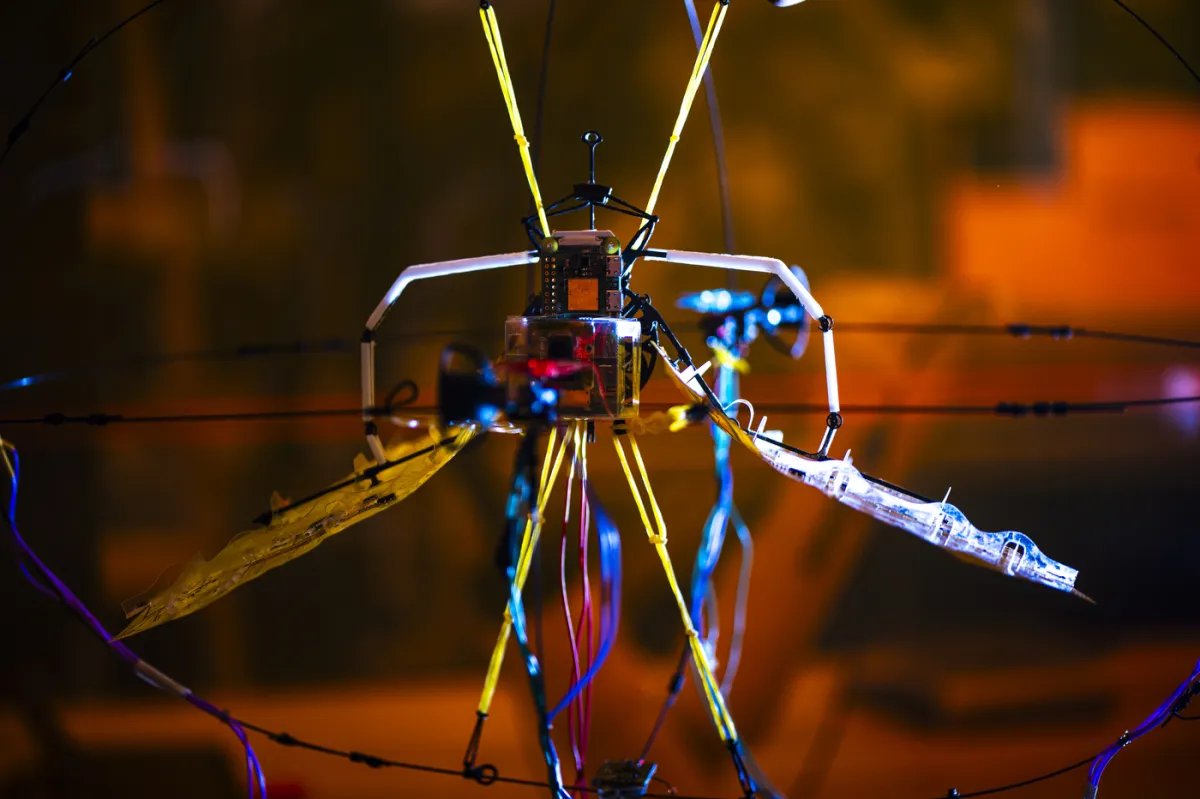 Northeastern University SiliconSynapse Lab (USA) Aerobat (2)