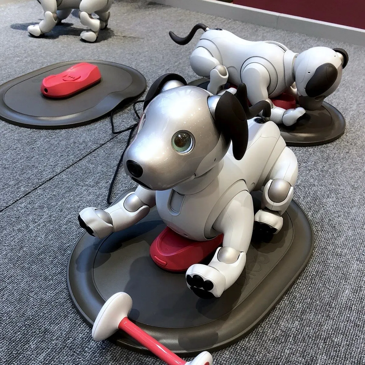 Sony (Japan) aibo (ERS-1000) (2)