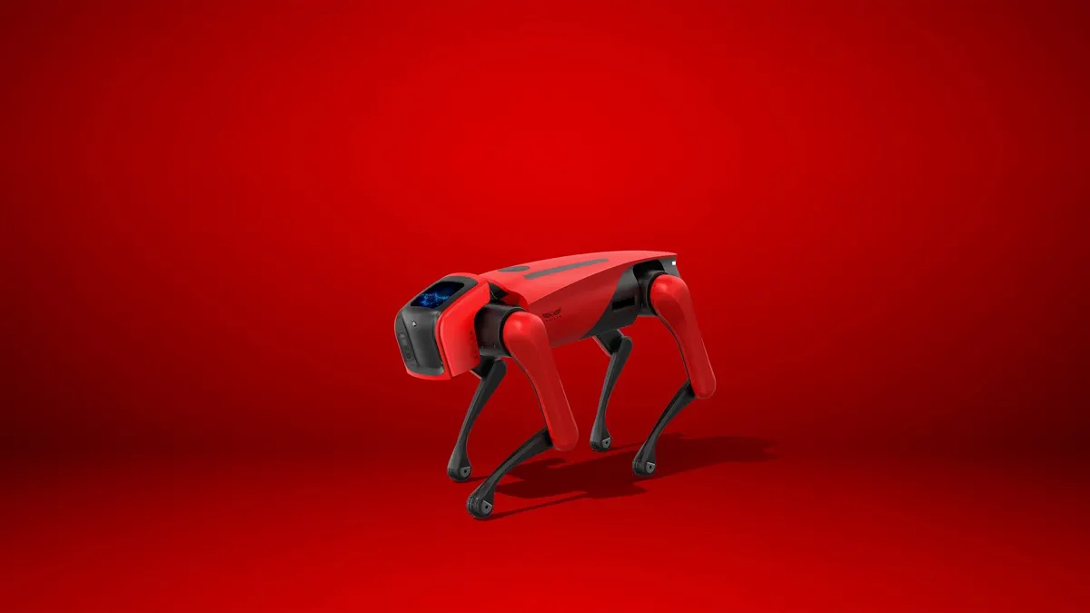 Weilan (Nanjing, China) AlphaDog (2)