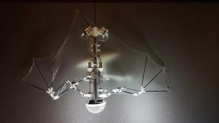 Caltech & University of Illinois Urbana-Champaign (USA) Bat Bot (B2) (1)