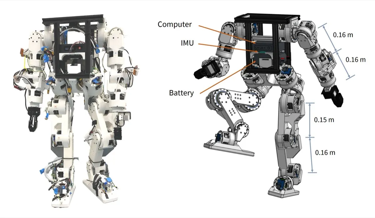 UC Berkeley Hybrid Robotics Berkeley Humanoid Lite (2)