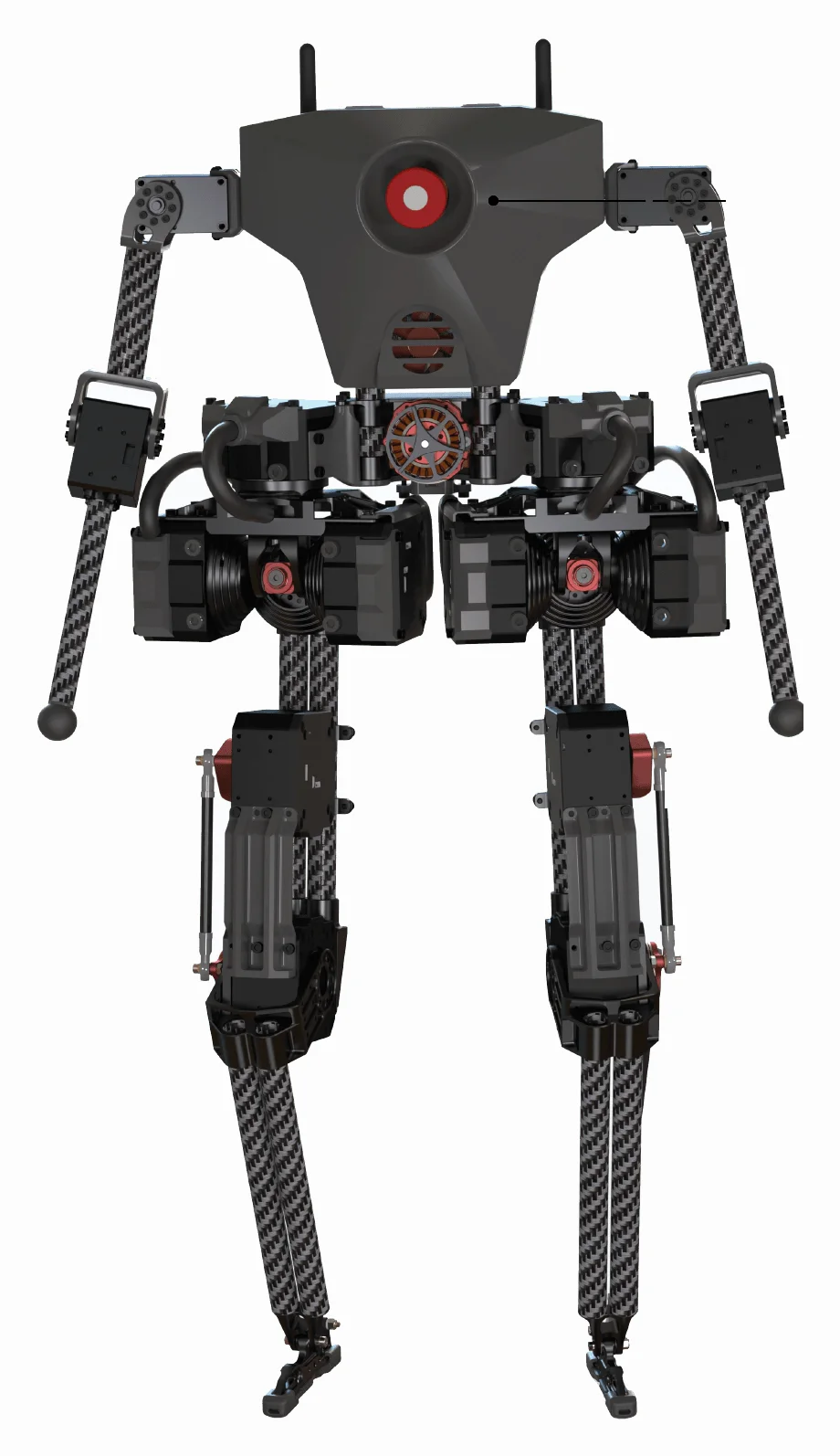 Westwood Robotics (USA) BRUCE (1)