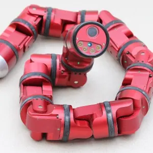 Biorobotics Lab, Carnegie Mellon University (USA) CMU Modular Snake Robots (Unified / SEA Snake) (2)