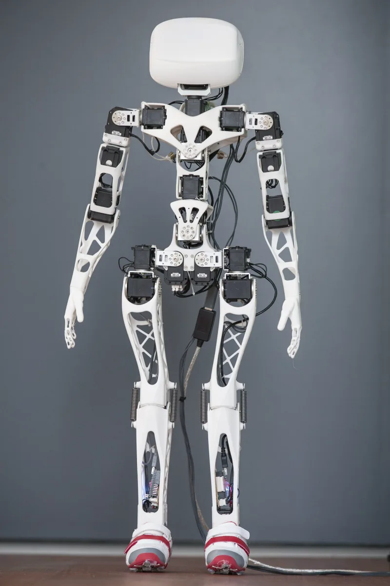 Poppy Humanoid