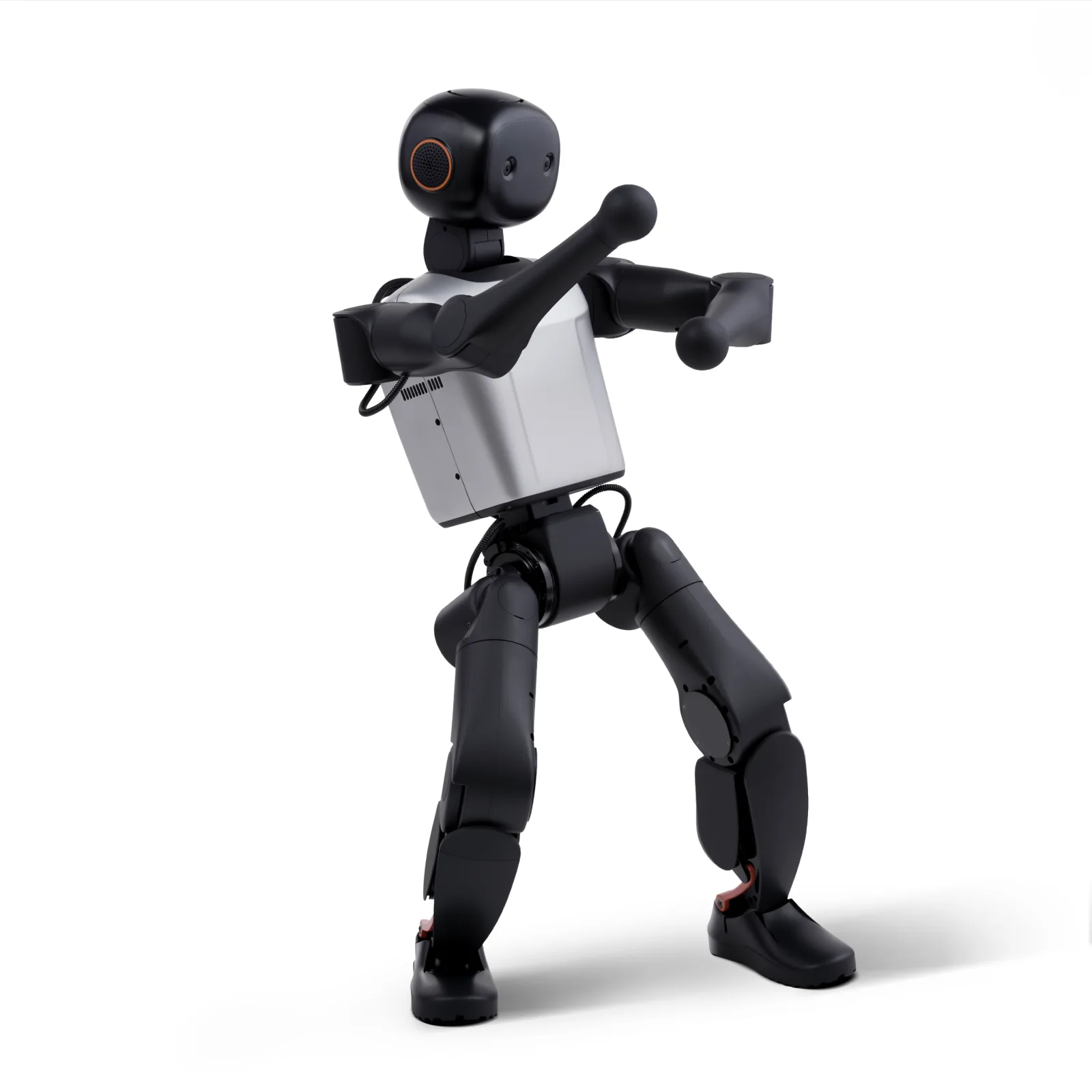 Faraday Future (FF EAI Robotics, USA) FF Master Mini (Mini / Pro / Ultra) (2)