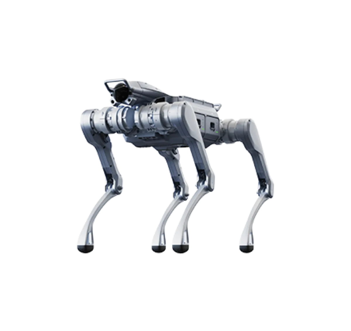 Unitree Go2-W (wheel-legged) (2)