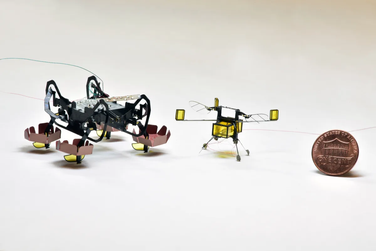 Harvard Microrobotics Lab / Wyss Institute (USA) HAMR (Harvard Ambulatory MicroRobot) (3)