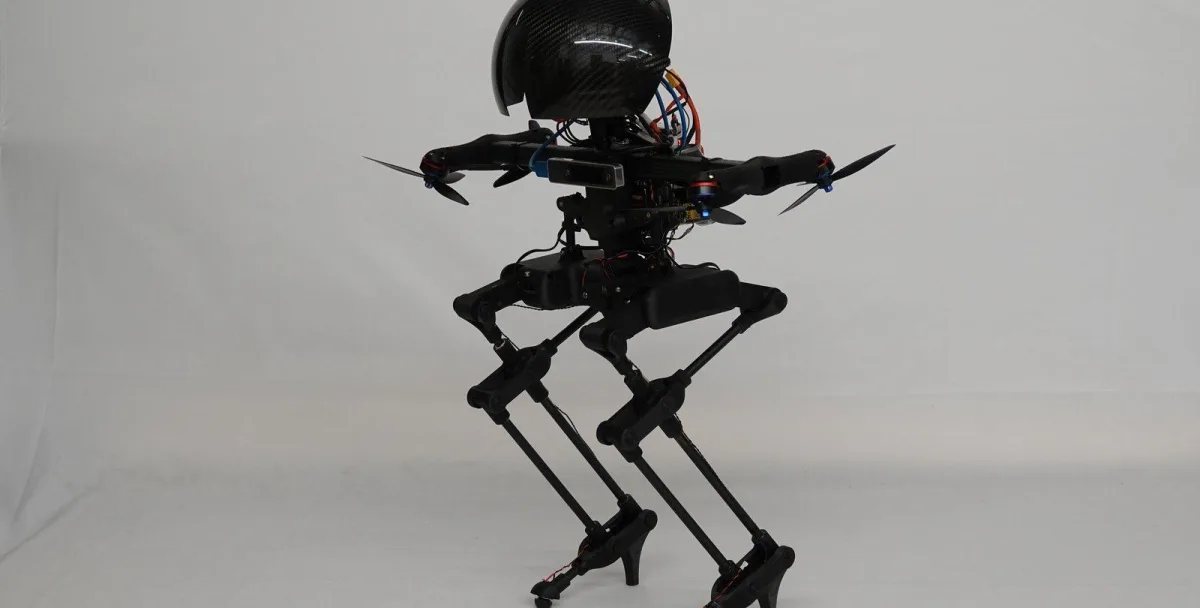 Autonomous Robotics and Control Lab (Soon-Jo Chung), Caltech (USA) LEONARDO (LEO) (1)