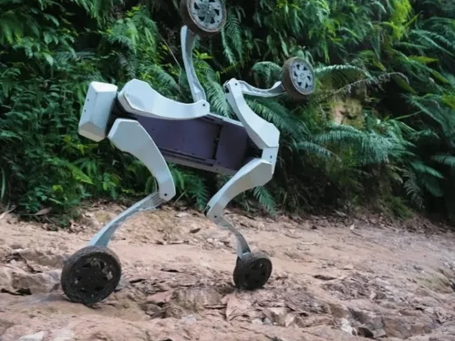 Lightyear Robotics (China) M1 (1)
