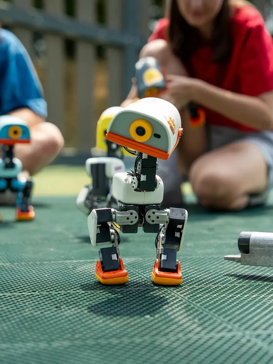 Pollen Robotics / Hugging Face Microduck (2)