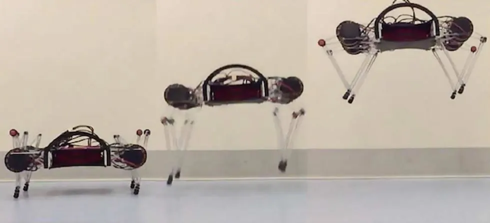 Ghost Robotics (US) Minitaur (2)