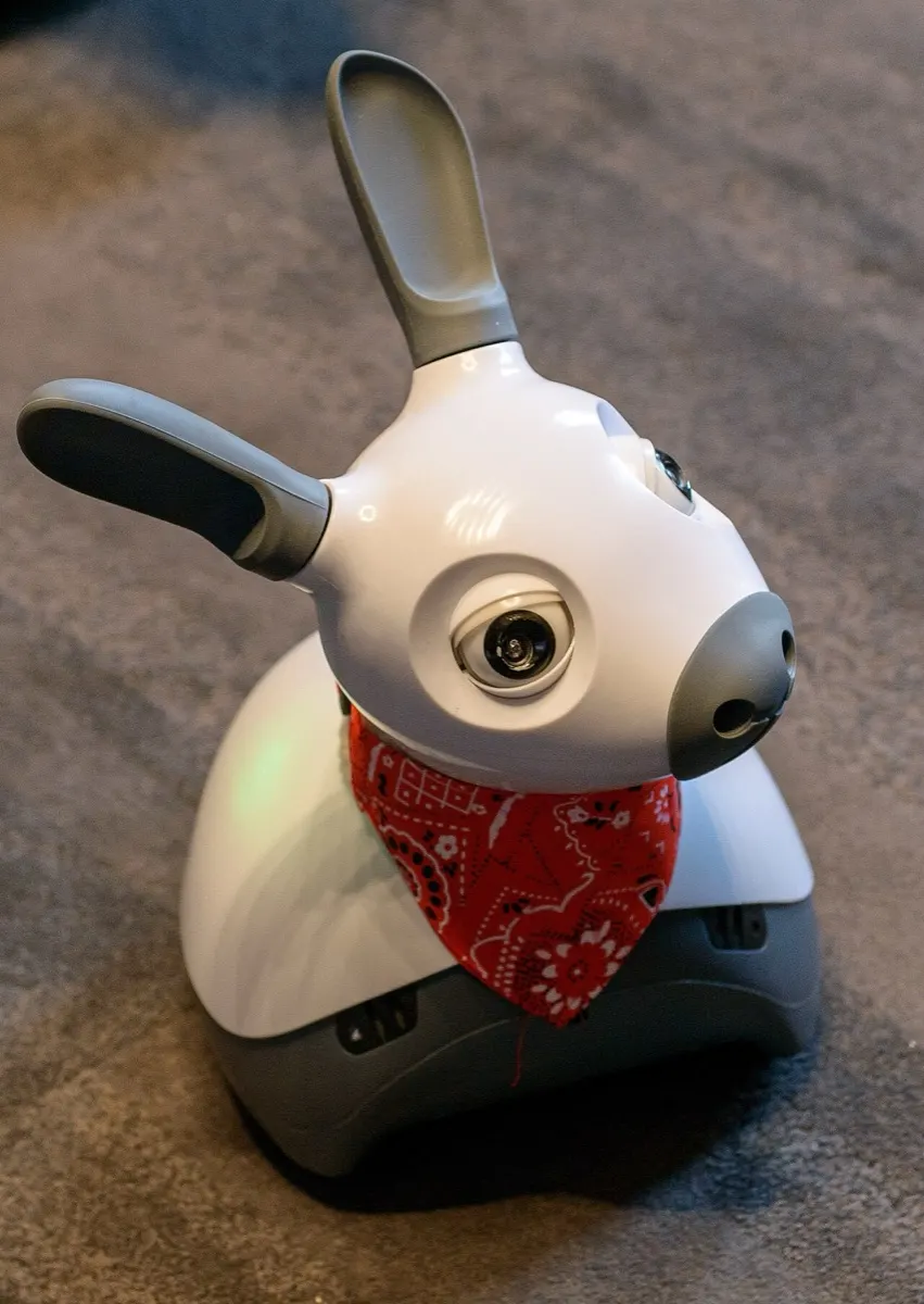 Consequential Robotics (UK) / University of Sheffield MiRo-E (2)