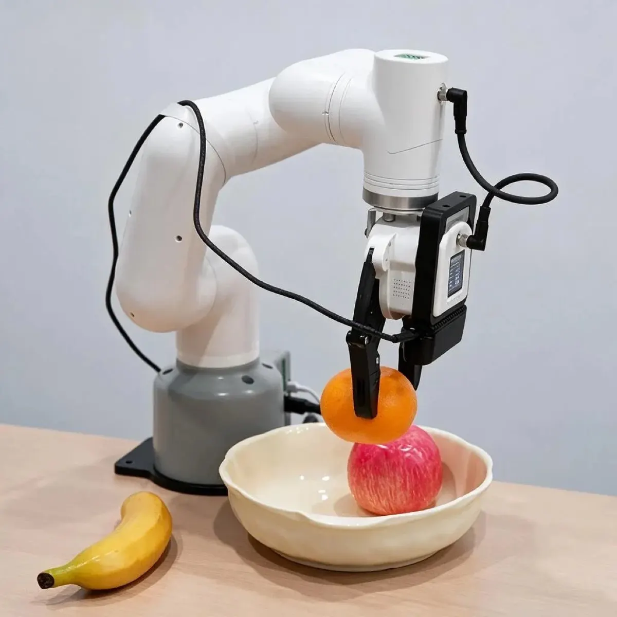 Elephant Robotics (China) myCobot 320 (2)