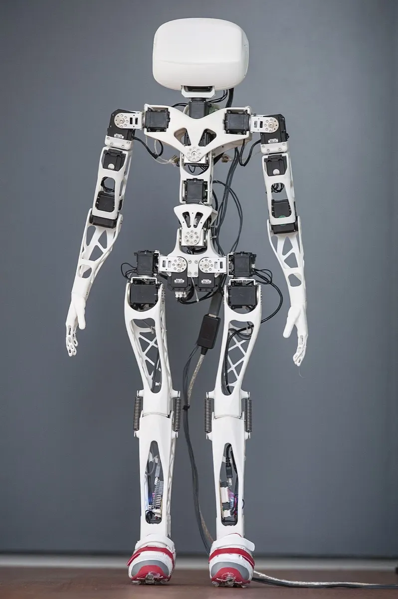 Inria Flowers team / Poppy Project (France) Poppy Humanoid (1)