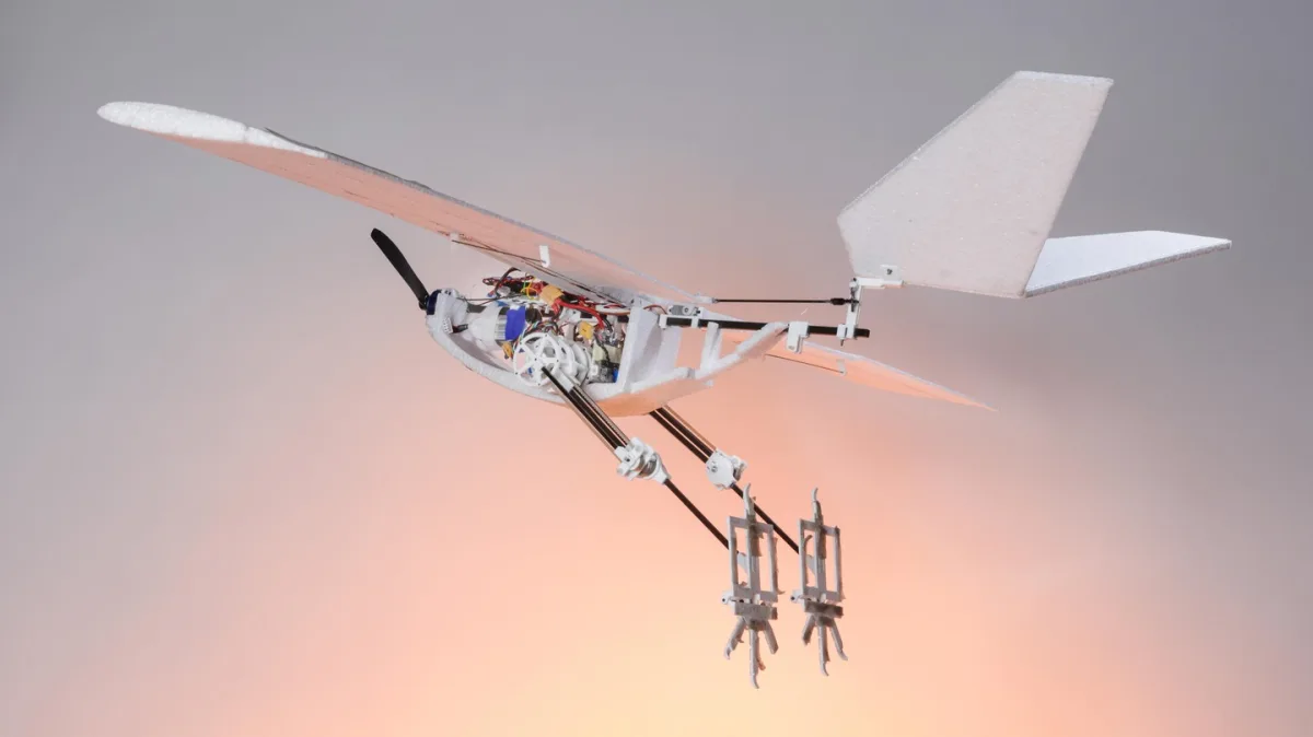 Laboratory of Intelligent Systems (LIS), EPFL (Switzerland) RAVEN (1)