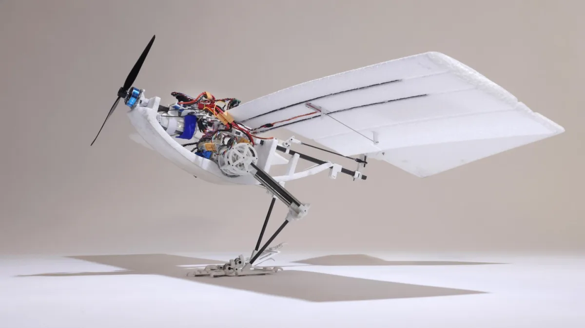 Laboratory of Intelligent Systems (LIS), EPFL (Switzerland) RAVEN (2)
