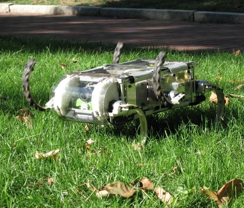 Boston Dynamics / multi-university DARPA project (USA) RHex (2)