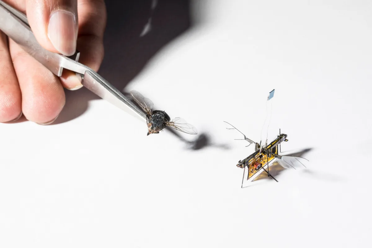 University of Washington Autonomous Insect Robotics Lab (USA) RoboFly (2)