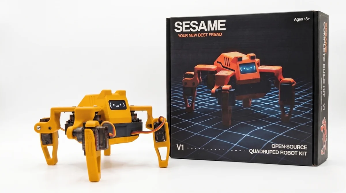 Dorian Todd (USA) Sesame (1)