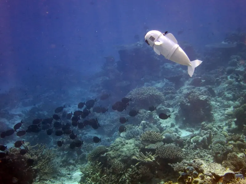 MIT CSAIL (Distributed Robotics Lab), USA SoFi (Soft Robotic Fish) (2)