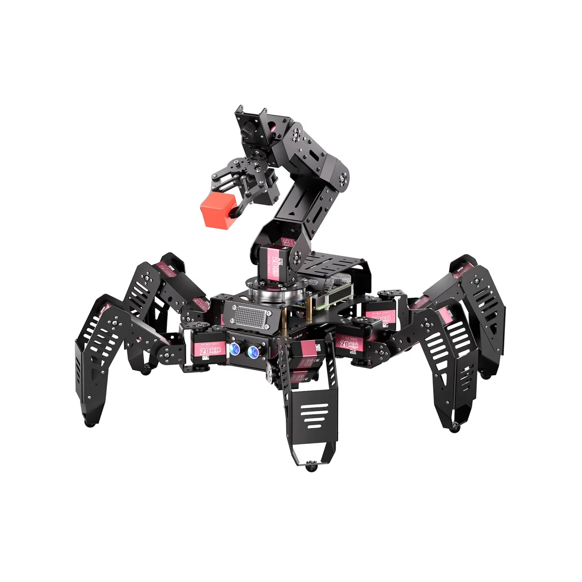 Hiwonder (China) Hiwonder SpiderPi / SpiderPi Pro (2)