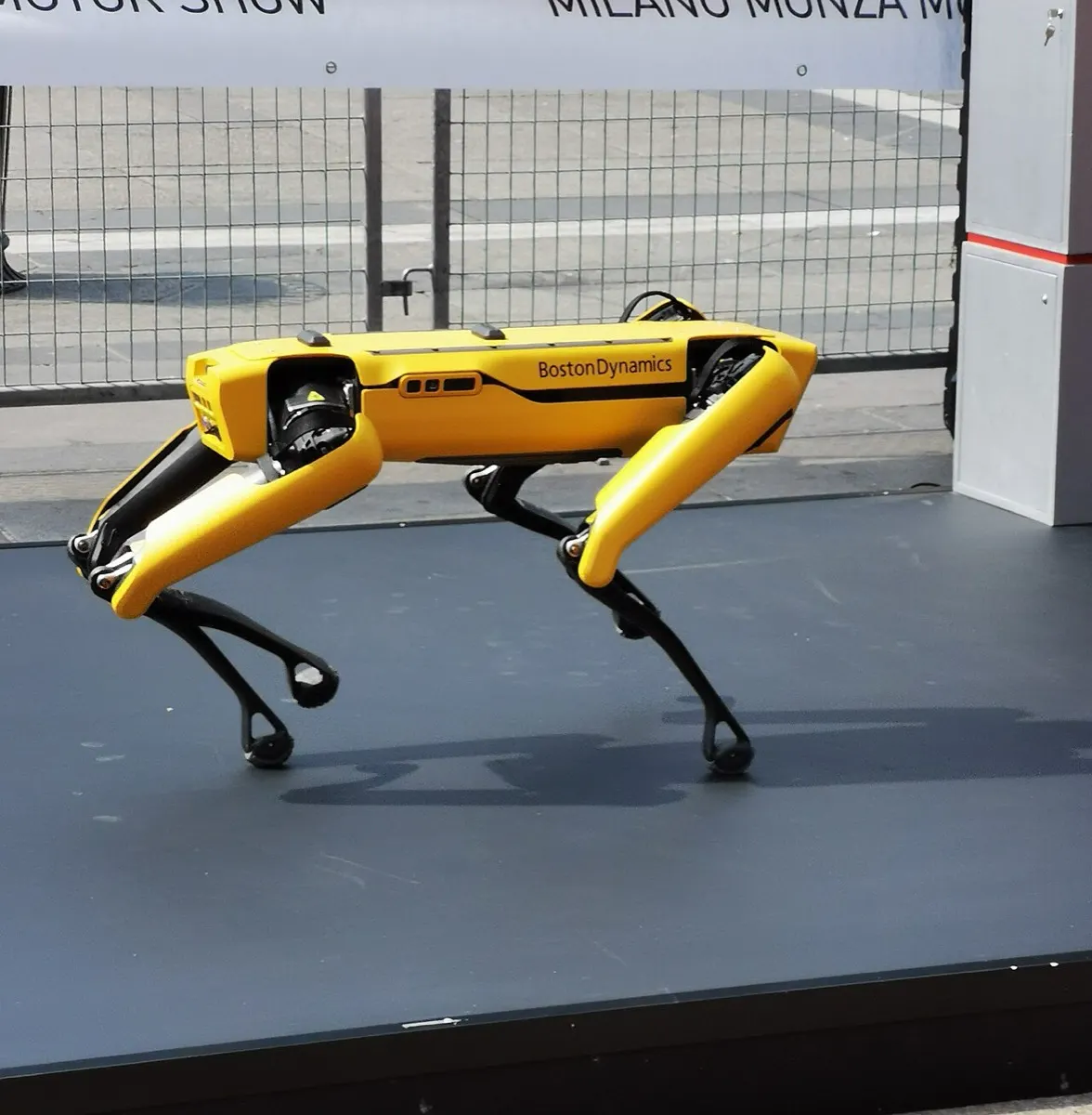 Boston Dynamics Spot (2)