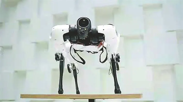 Tencent Robotics X (China) Max (1)