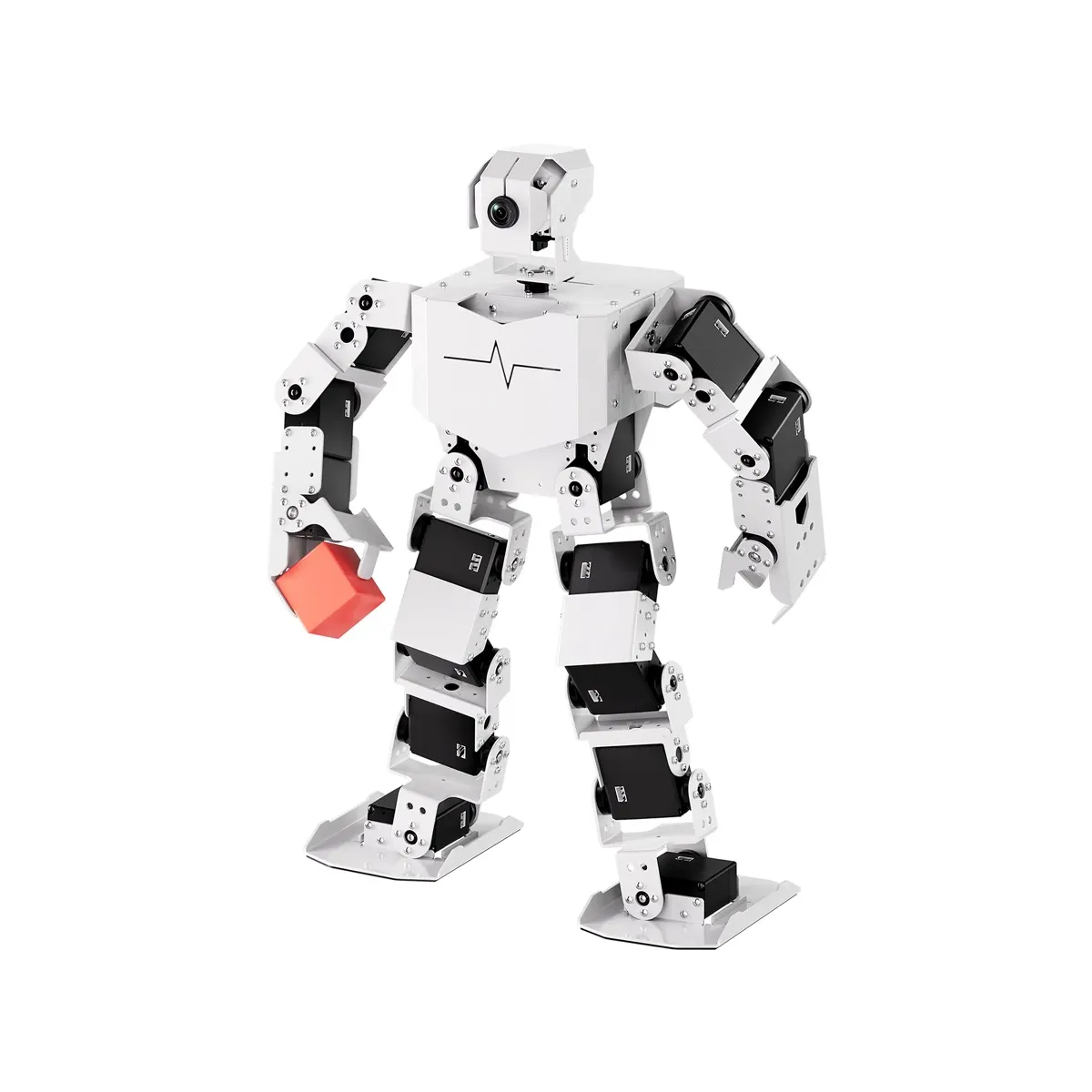 Hiwonder (China) TonyPi Pro (1)