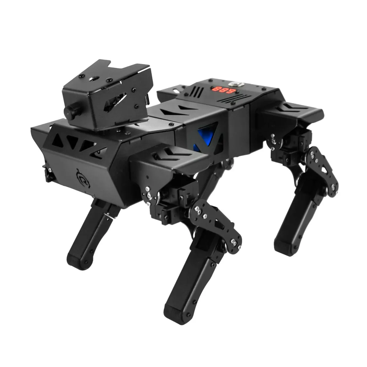 XiaoR Geek (China) XR-Corgi (1)
