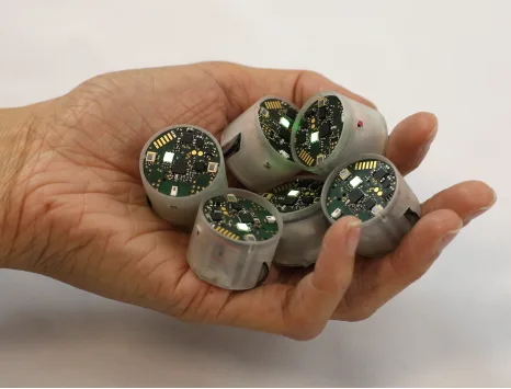 Stanford Shape Lab / Inria (USA / France) Zooids (2)